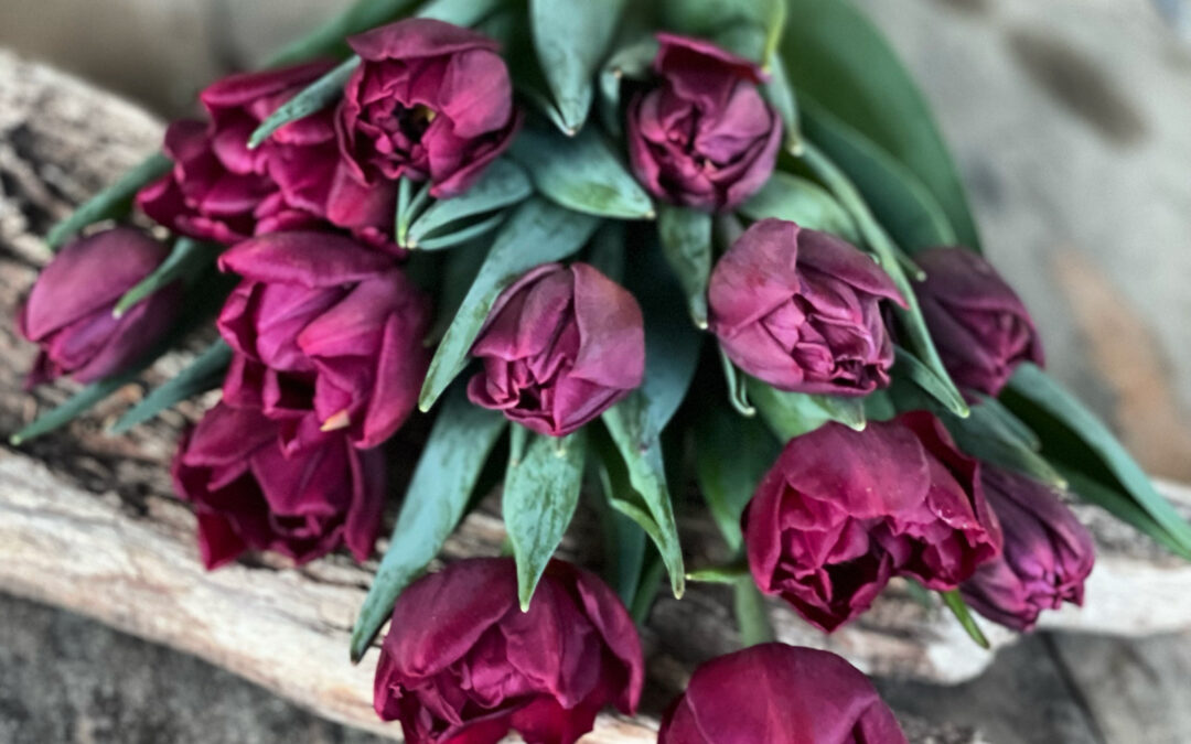 Grown Locally With Love