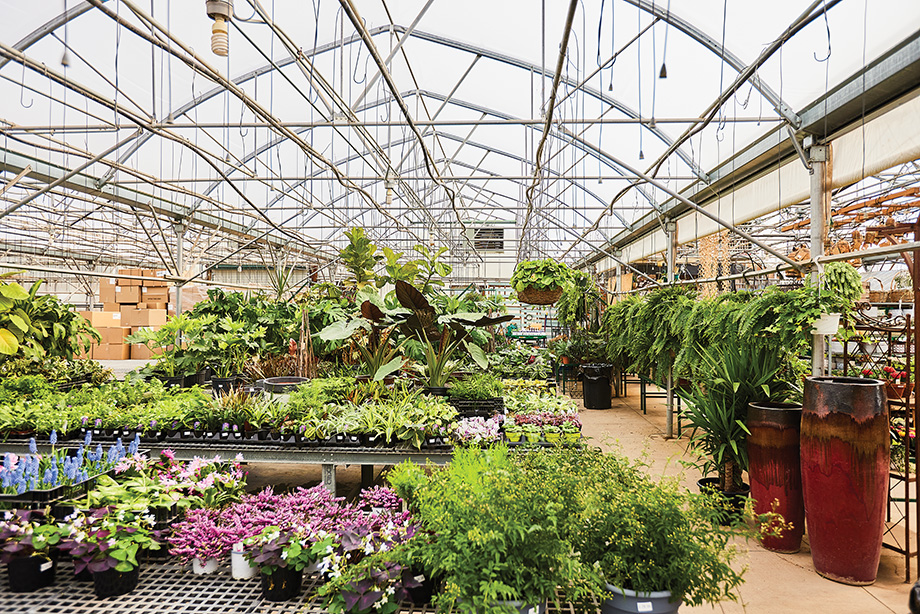Sailer's Greenhouse