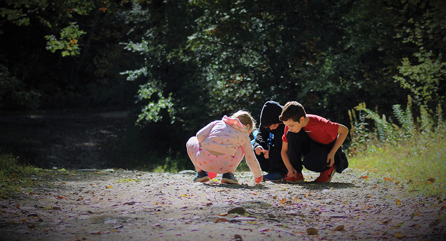 Treasure Hunt