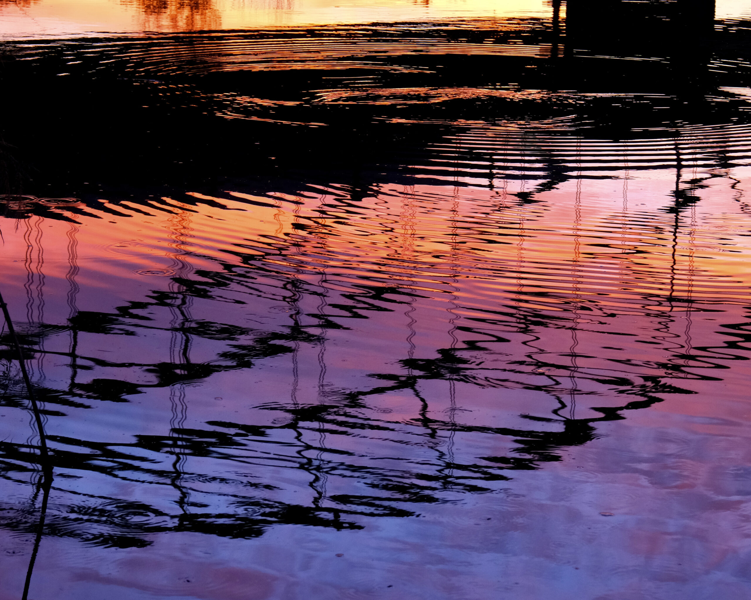 Ripples at Sunset by Mark Dobbelmann