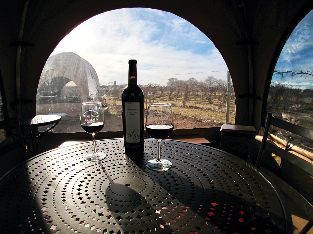 Alexis Bailly Vineyard