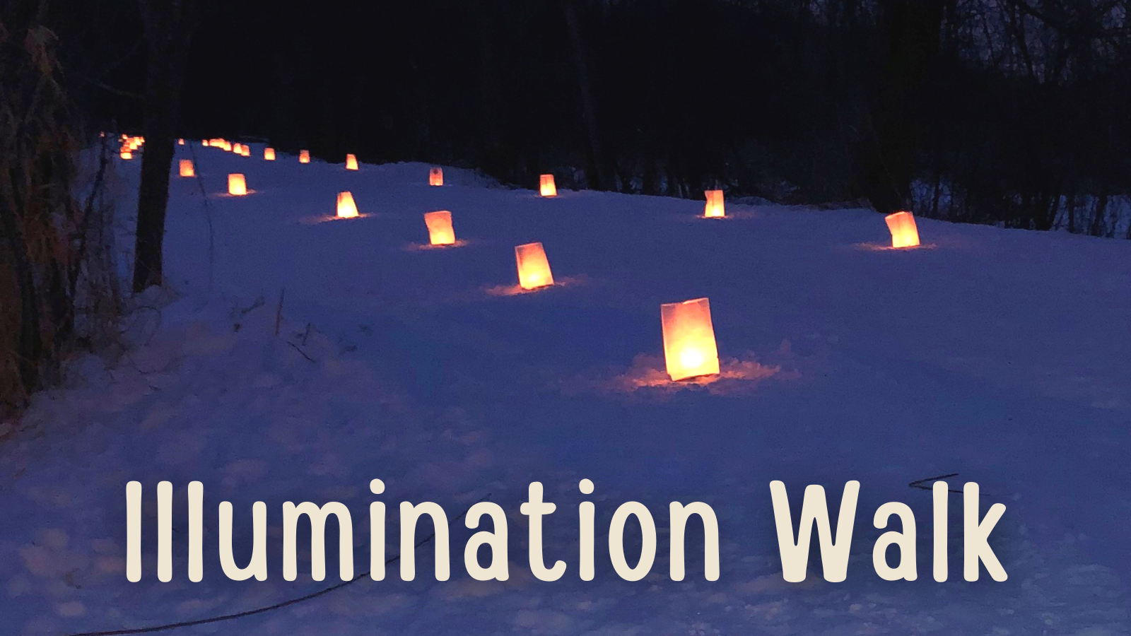 Illumination Walk Lakeville