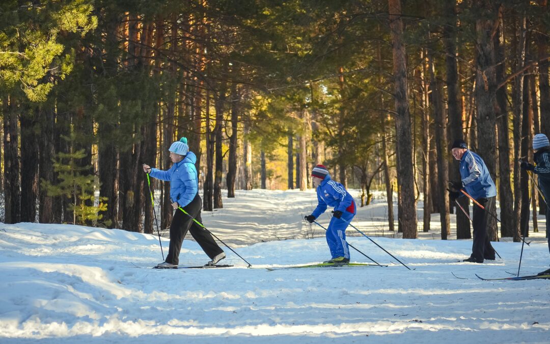 Join in on January Adventures at Cleary Lake Regional Park