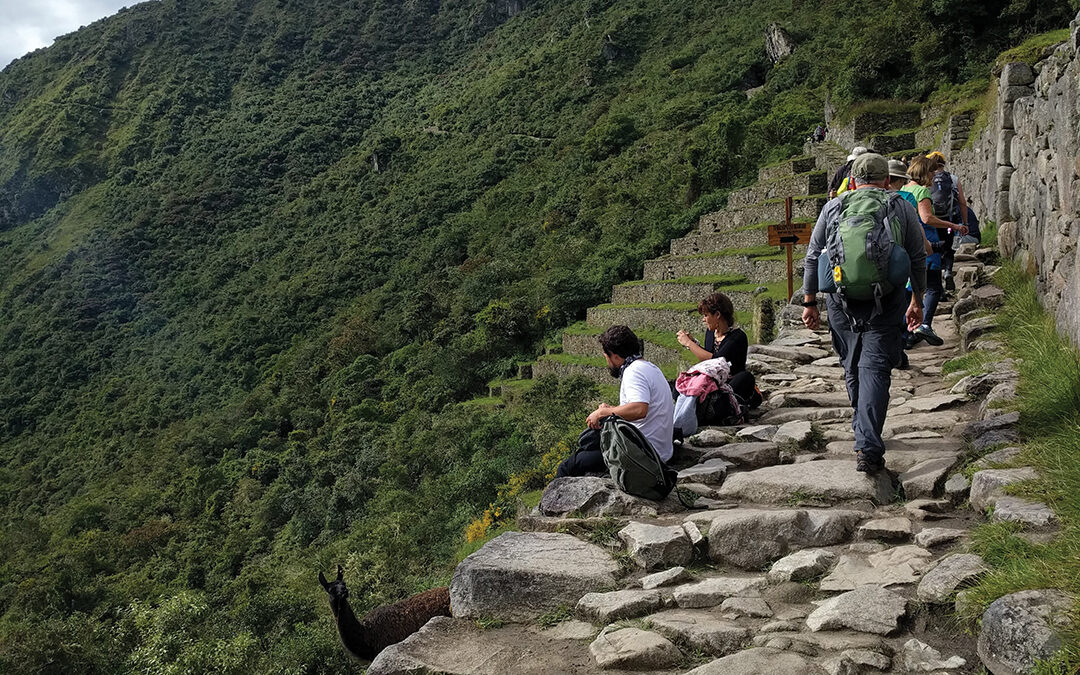Learning Through Travel