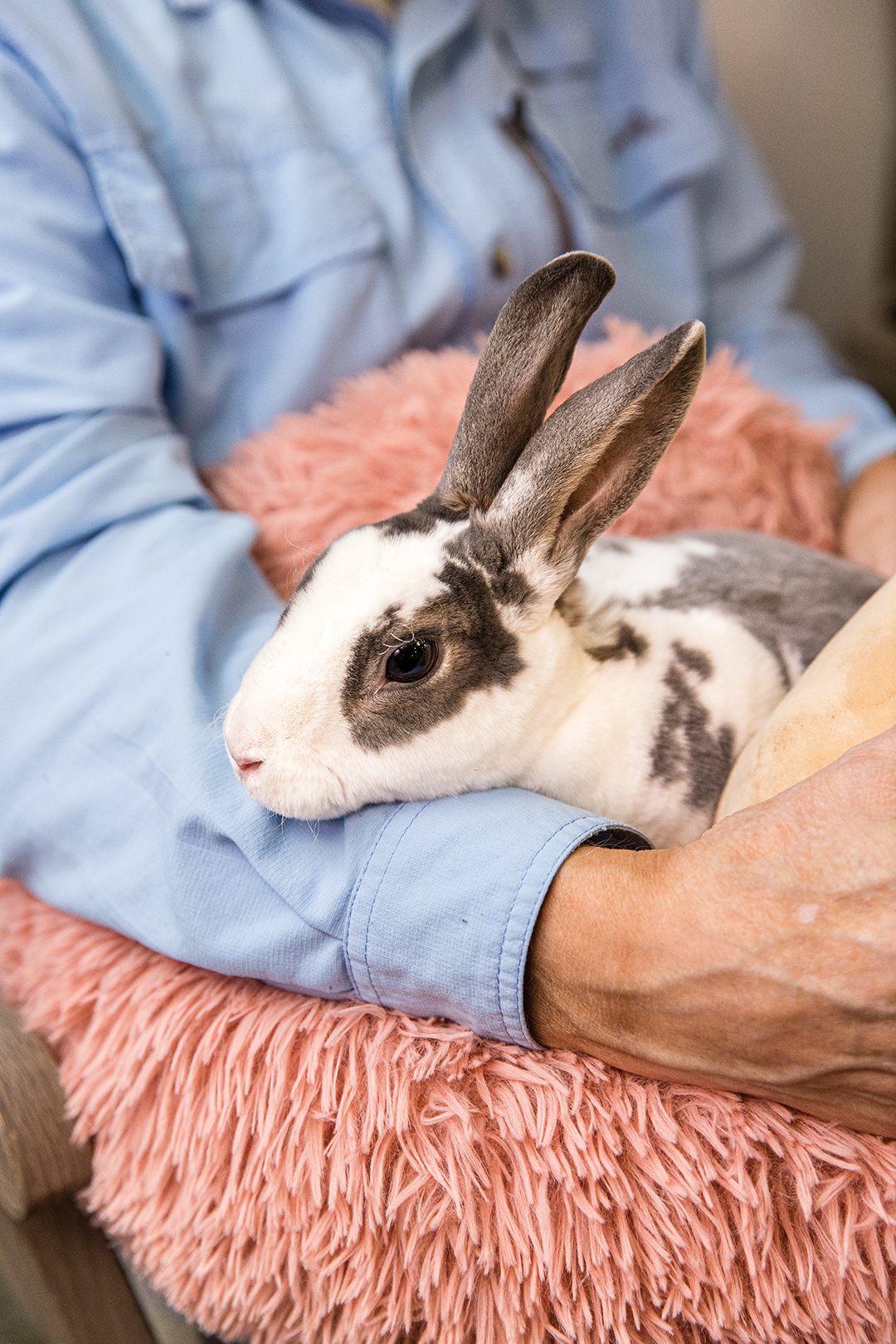 Bunny Besties