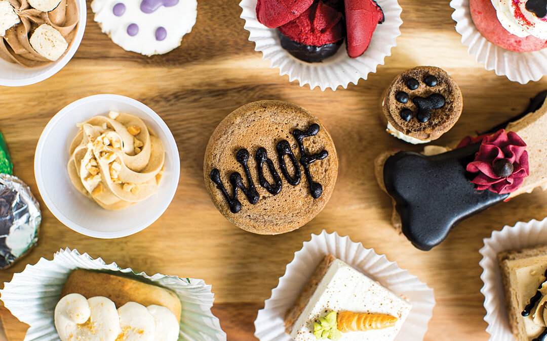 Three Dog Bakery Caters To Four-Legged Friends