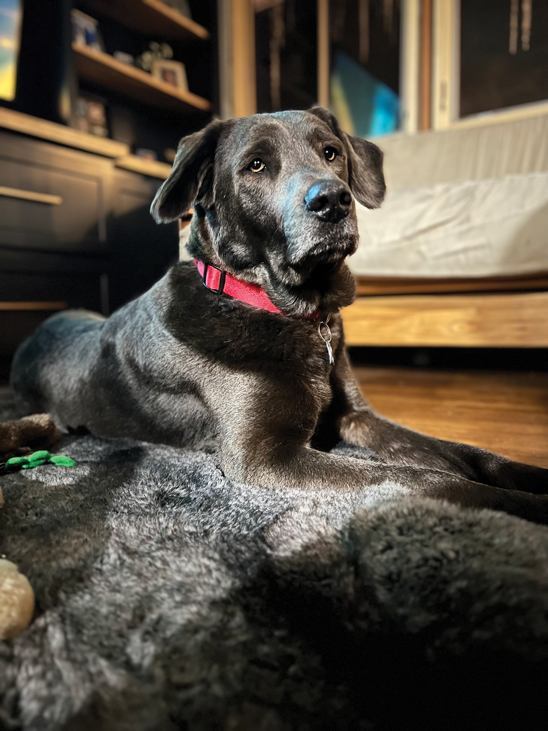 Duke Silver
