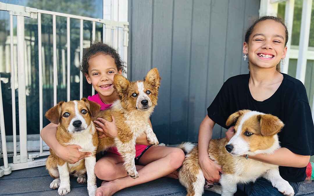 Spot’s Last Stop Is Having a Pawsitive Impact