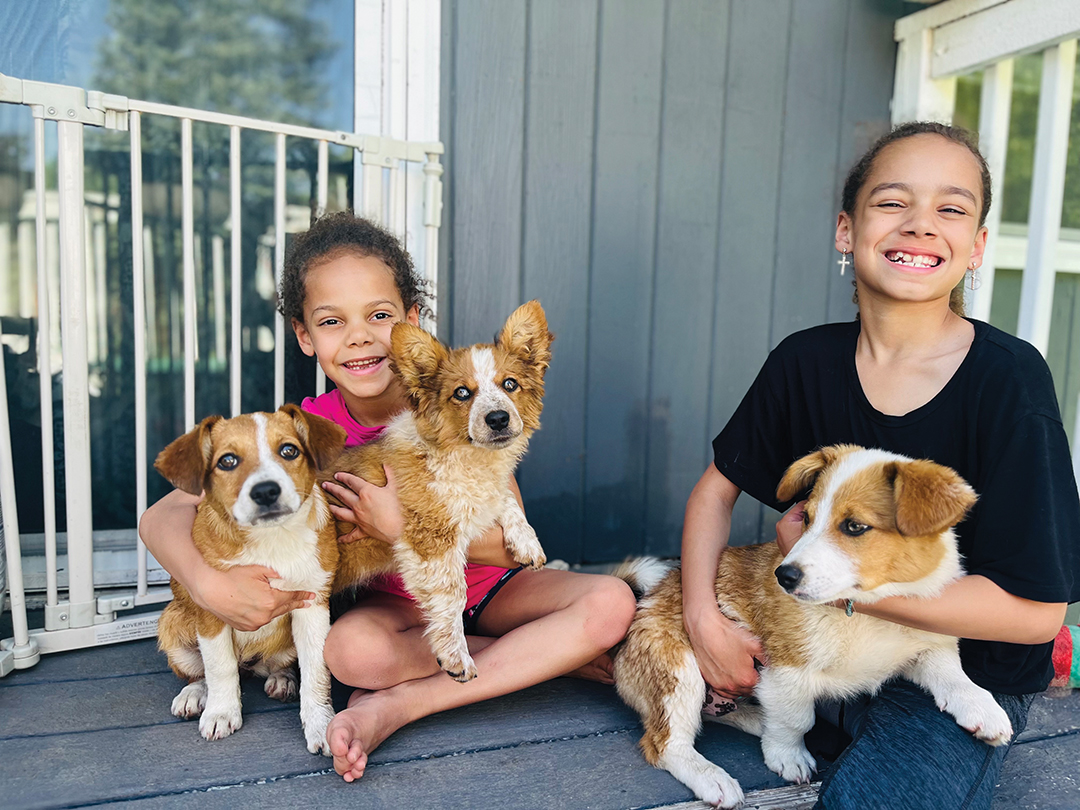 The Parence Family fosters dogs through Spot’s Last Stop. (These lucky pups have all been adopted!)