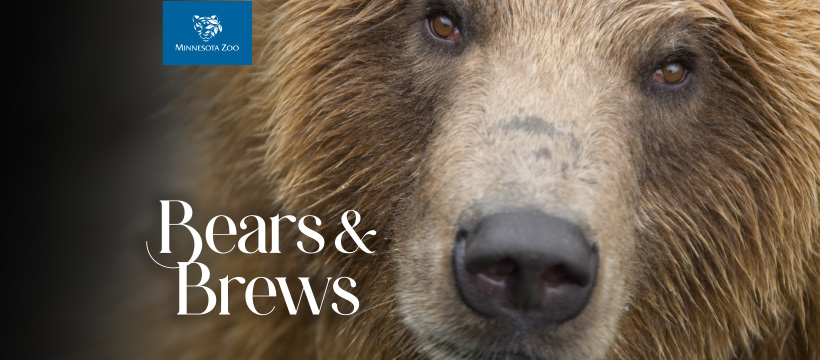 Bears & Brews 2025