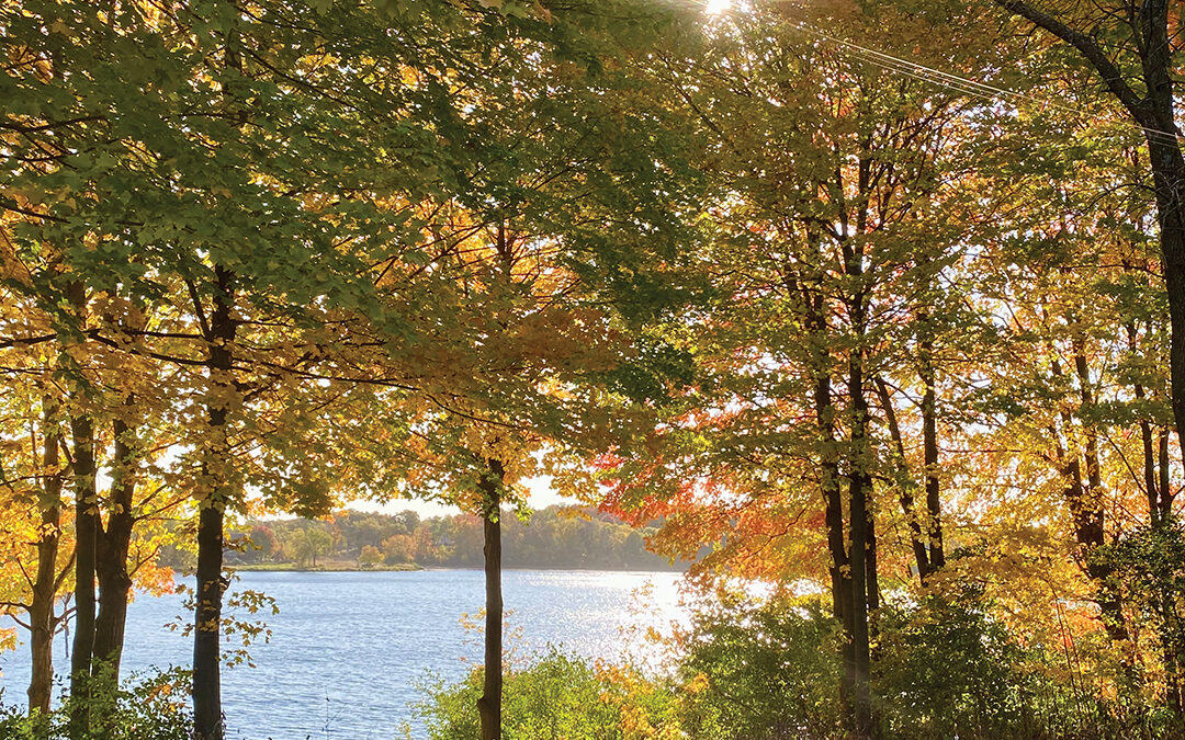 October Light