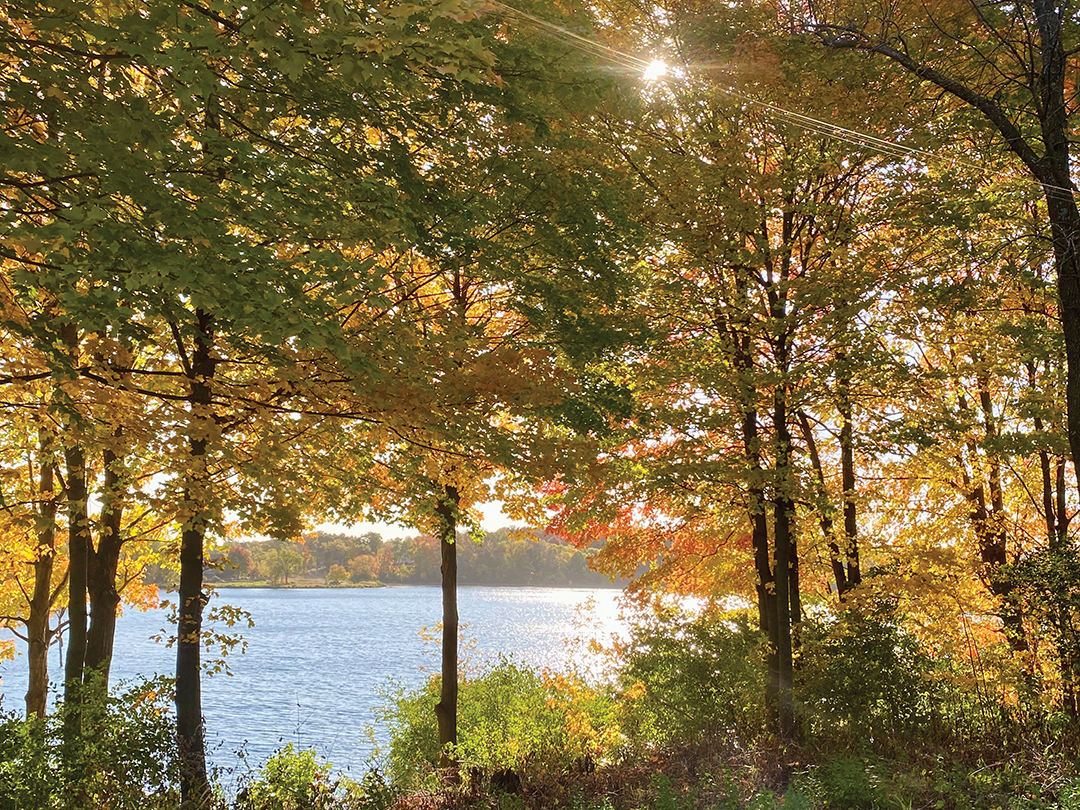 October Light